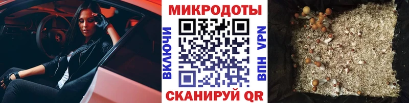 Псилоцибиновые грибы прущие грибы Саянск